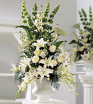 Funeral Arrangement