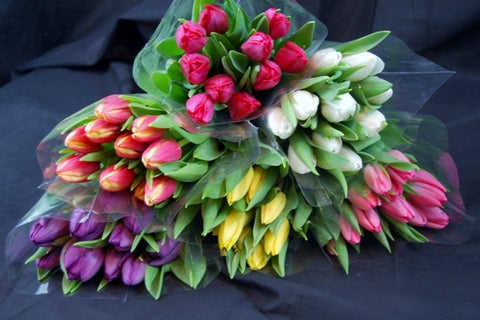 Tulip Bunch