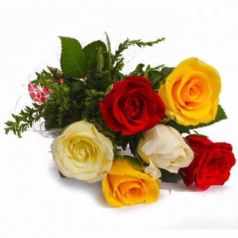 Half-Dozen Roses Wrapped
