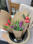 Tulips in full color