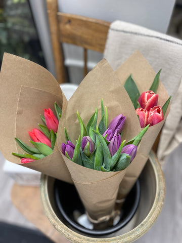 Tulips in full color
